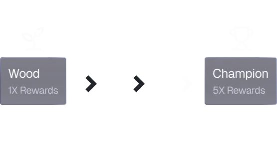 Whale Tracking Icon